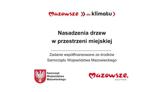 100 nowych drzew dla Pułtuska