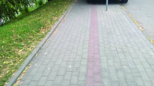 Absurdy drogowe, do których przywykliśmy