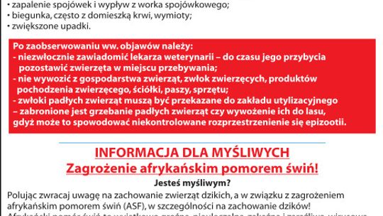 Afrykański pomór świń
