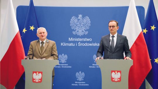 Będą nowe lasy – kupujemy tereny pod zalesianie
