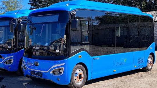 Bezpłatna komunikacja autobusowa na Wszystkich Świętych