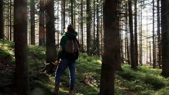 Brak pomysłu na wakacyjny wyjazd? Poznaj Beskid Sądecki i Muszynę