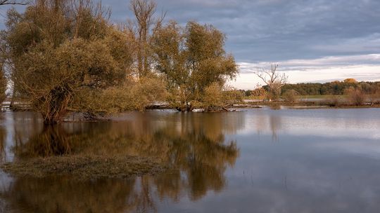 Czy Pułtuskowi grozi powódź?