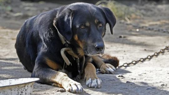 Czy Sobolewo nas czegoś nauczyło?