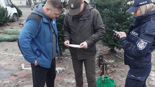 Dbają o legalność choinek