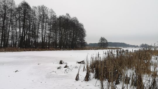 Dzień dobry znad Narwi