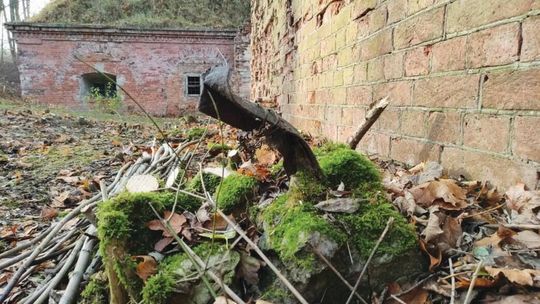 FORT III POMIECHÓWEK. Znaleziska na Forcie
