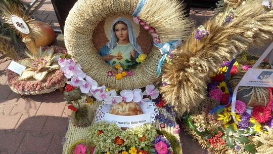 Fotogaleria z dożynek gminno - powiatowych w Pokrzywnicy