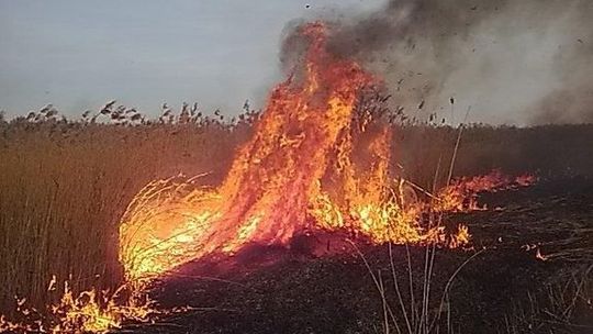 Grzywna a nawet więzienie