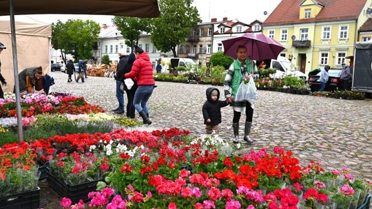 I Pułtuski Festiwal Roślin Ogrodowych za nami
