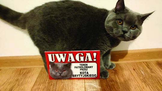 I TAK ZOSTAŁEM WROBIONY W DZIECKO