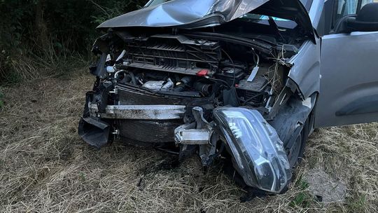 JABŁONNA. Dostawczakiem wjechał do rowu