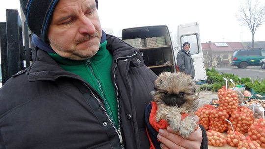 Jak to na targowisku – jest wszystko