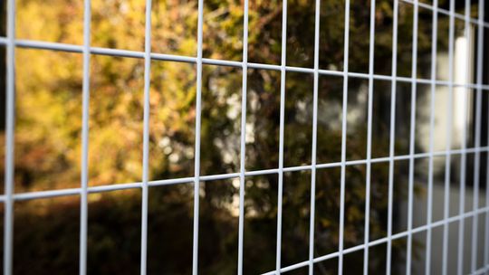 Jak wybrać idealne ogrodzenie w Piasecznie: praktyczny przewodnik wyboru i montażu