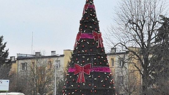 Jednak bez płotka
