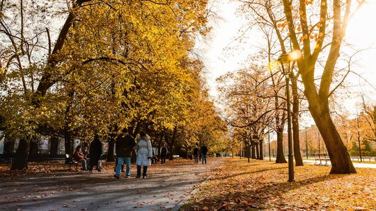 Jesień pod Warszawą. Odkryj malownicze barwy jesieni w Hotelu 500 Zegrze