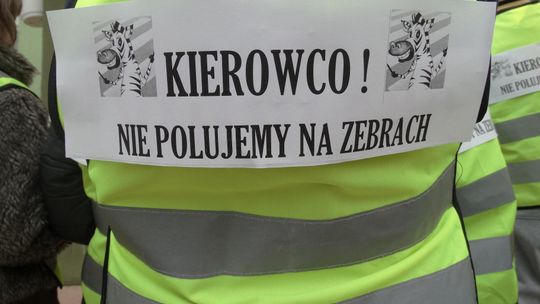 Kierowco! Nie polujemy na ZEBRACH”