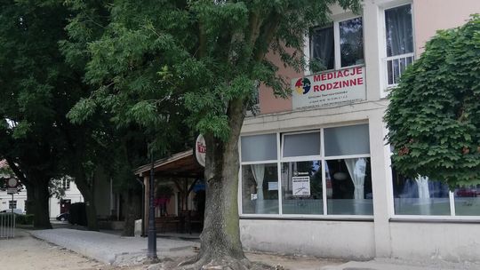 Konserwator się uparł - o drzewach i nowej ulicy