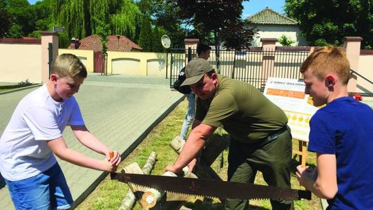 KRÓTKA ROZMOWA O (NIE) WYCINANIU LASU