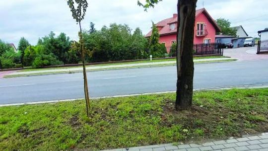 Ktoś musiał długo nad tym myśleć