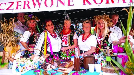 MISS WDZIĘKU DWA RAZY I PIJANY KRÓLIK