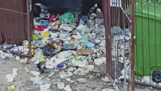 Mycia pojemników na śmieci nie będzie