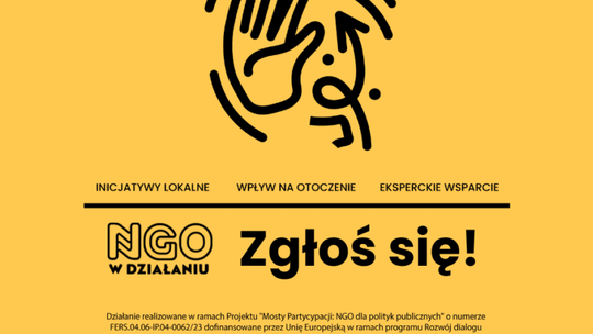 Nabór organizacji pozarządowych do drugiej edycji projektu “NGO w działaniu”