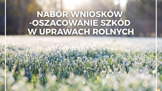 Nabór wniosków – oszacowanie szkód w uprawach rolnych