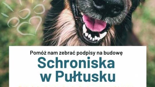Najwyższy czas na schronisko