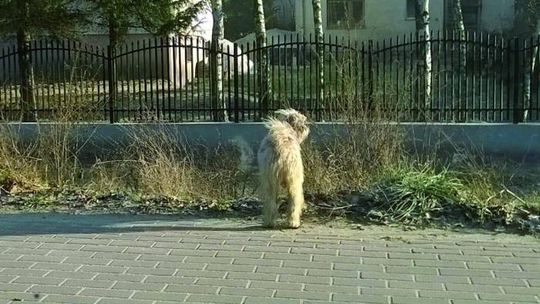 Nie są niewidzialne!