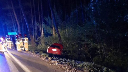 NIEPORĘT. Zjechał z drogi żeby nie zabić zwierzęcia