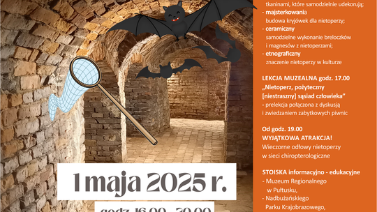 NOCKI I GACKI… co skrywają zabytkowe piwnice