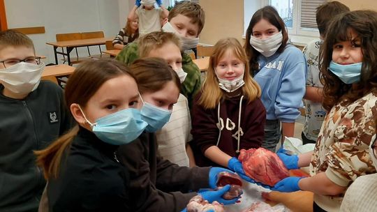 OBYŚ SIĘ UCZYŁ W TAKICH SZKOŁACH