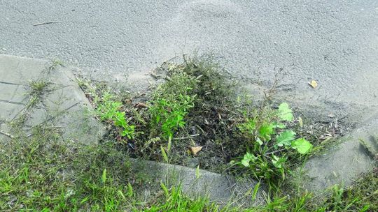 Od zaniedbań do nieszczęścia jeden krok