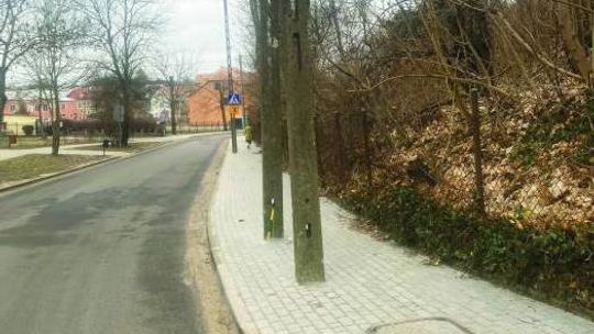 Odpowiadamy Ratuszowi w sprawie Traugutta
