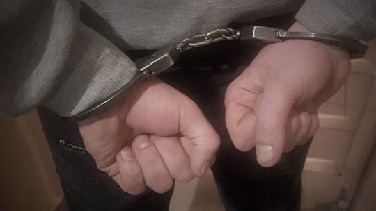 Odpowie za znieważenie policjantów