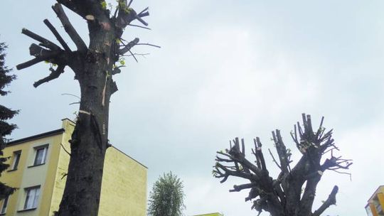 OGŁOWIONE