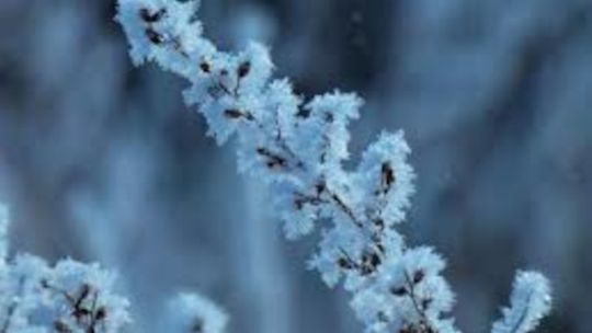 Ostrzeżenie pprzed intensywnymi opadami śniegu