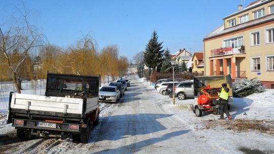 Pielęgnacja drzewostanu