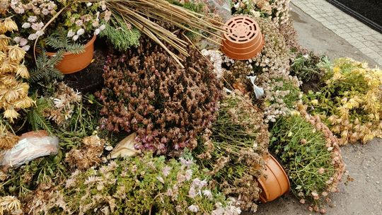 PIERWSZY CMENTARZ – OBRAZY Z 9 GRUDNIA 2025 r.