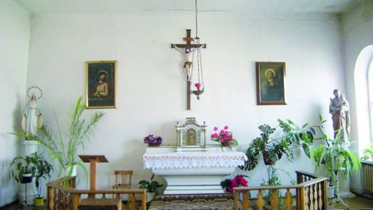 Plociuszek