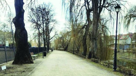 Ponownie zaglądamy w alejki