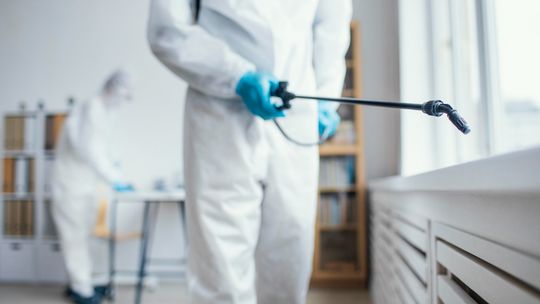 Poradnik: Jak skutecznie przeprowadzić dezynsekcję w Warszawie, aby pozbyć się uciążliwych owadów Poradnik: Jak skutecznie przeprowadzić dezynsekcję w Warszawie, aby pozbyć się uciążliwych owadów