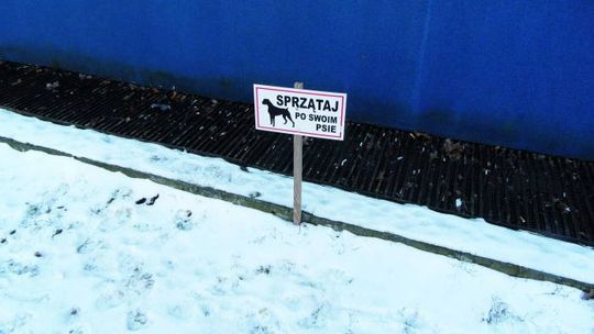 PPP - Pułtuskie Plagi Pospolite