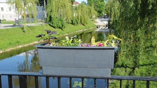 PPUK zadba o zieleń