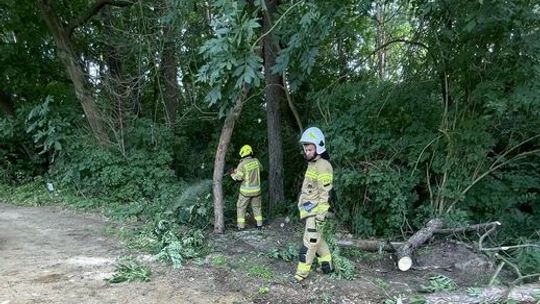 Pracowity tydzień strażaków