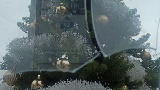 PREZENCIK OD WANDALA