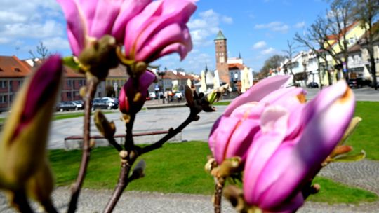 Pułtusk w wiosennej odsłonie