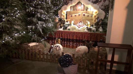 Pułtuskie żłóbki 2018