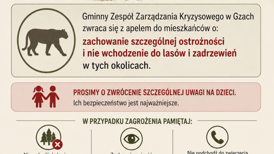 Puma może grasować w lasach powiatu pułtuskiego!